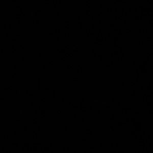 Meet your Posher, Tessa